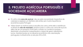 5. PROJETO AGRÍCOLA PORTUGUÊS E 
SOCIEDADE AÇUCAREIRA 
 O cultivo da cana-de-açúcar deu-se pela necessidade imperativa de 
colonizar e explorar um território até então sem muita importância 
econômica para Portugal. 
 Vários foram os motivos para a escolha da cana, entre eles a existência 
no Brasil do solo de massapê, propício para o cultivo da cana-de-açúcar, 
além de ser um produto muito bem cotado no comércio europeu - 
destinado unicamente à exportação e capaz de gerar valiosíssimos 
lucros, transformando-se no alicerce econômico da colonização 
portuguesa no Brasil entre os séculos XVI e XVII. 
 