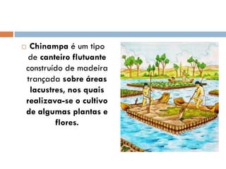  Chinampa é um tipo
de canteiro flutuante
construído de madeira
trançada sobre áreas
lacustres, nos quais
realizava-se o cultivo
de algumas plantas e
flores.
 