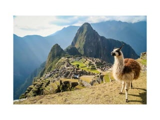 AMÉRICA PRÉ COLOMBIANA.pdf