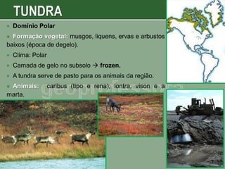 

Domínio Polar

Formação vegetal: musgos, liquens, ervas e arbustos
baixos (época de degelo).




Clima: Polar



Camada de gelo no subsolo  frozen.



A tundra serve de pasto para os animais da região.

Animais:
marta.


caribus (tipo e rena), lontra, vison e a

 