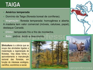 

América temperada



Domínio da Taiga (floresta boreal de coníferas).

Vegetação: floresta temperada: homogênea e aberta.
A madeira tem valor comercial (móveis, celulose, papel),
destaque Canadá.




Clima: temperado frio e frio de montanha.



Solo: podzol, ácido e descolorido.

Silvicultura é a ciência que se
ocupa das atividades ligadas a
implantação e regeneração de
florestas. Visa desta forma o
aproveitamento e manutenção
racional das florestas, em
função do interesse ecológico,
científico, econômico e social.

 