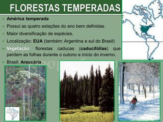 

América temperada



Possui as quatro estações do ano bem definidas.



Maior diversificação de espécies.



Localização: EUA (também: Argentina e sul do Brasil)



Vegetação: florestas caducas (caducifólias) que
perdem as folhas durante o outono e início do inverno.



Brasil: Araucária

 
