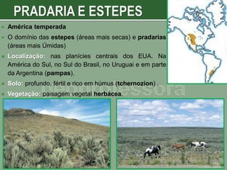 

América temperada



O domínio das estepes (áreas mais secas) e pradarias
(áreas mais Úmidas)



Localização: nas planícies centrais dos EUA. Na
América do Sul, no Sul do Brasil, no Uruguai e em parte
da Argentina (pampas).



Solo: profundo, fértil e rico em húmus (tchernozion) .



Vegetação: paisagem vegetal herbácea.

 
