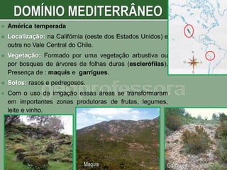 

América temperada



Localização: na Califórnia (oeste dos Estados Unidos) e
outra no Vale Central do Chile.



Vegetação: Formado por uma vegetação arbustiva ou
por bosques de árvores de folhas duras (esclerófilas).
Presença de : maquis e garrigues.



Solos: rasos e pedregosos.



Com o uso da irrigação essas áreas se transformaram
em importantes zonas produtoras de frutas, legumes,
leite e vinho.

Maquis

Garrigues

 