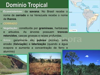 

Ecossistemas: da savana. No Brasil recebe o
nome de cerrado e na Venezuela recebe o nome
de lhanos.



CERRADO



Vegetação: constituída por gramíneas, herbáceas
e arbustos. As árvores possuem troncos
retorcidos, cascas grossas e raízes profundas.



Solos: geralmente são pobres (ácidos), sofre
erosão (lixiviação) e laterização (quando a água
evapora e aumenta a concentração de ferro e
alumínio)

Voçoroca

 