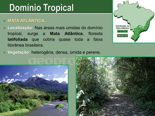 

MATA ATLÂNTICA



Localização: Nas áreas mais úmidas do domínio
tropical, surge a Mata Atlântica, floresta
latifoliada que cobria quase toda a faixa
litorânea brasileira.



Vegetação: heterogêna, densa, úmida e perene.

 