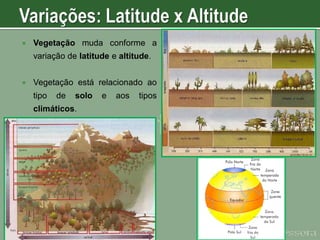

Vegetação muda conforme a
variação de latitude e altitude.



Vegetação está relacionado ao

tipo

de

solo

climáticos.

e

aos

tipos

 