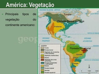 

Principais
vegetação

tipos

de
do

Tundra

Floresta Boreal ou Taiga

continente americano:

Floresta Equatorial

 