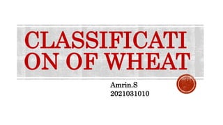 CLASSIFICATI
ON OF WHEAT
Amrin.S
2021031010
 