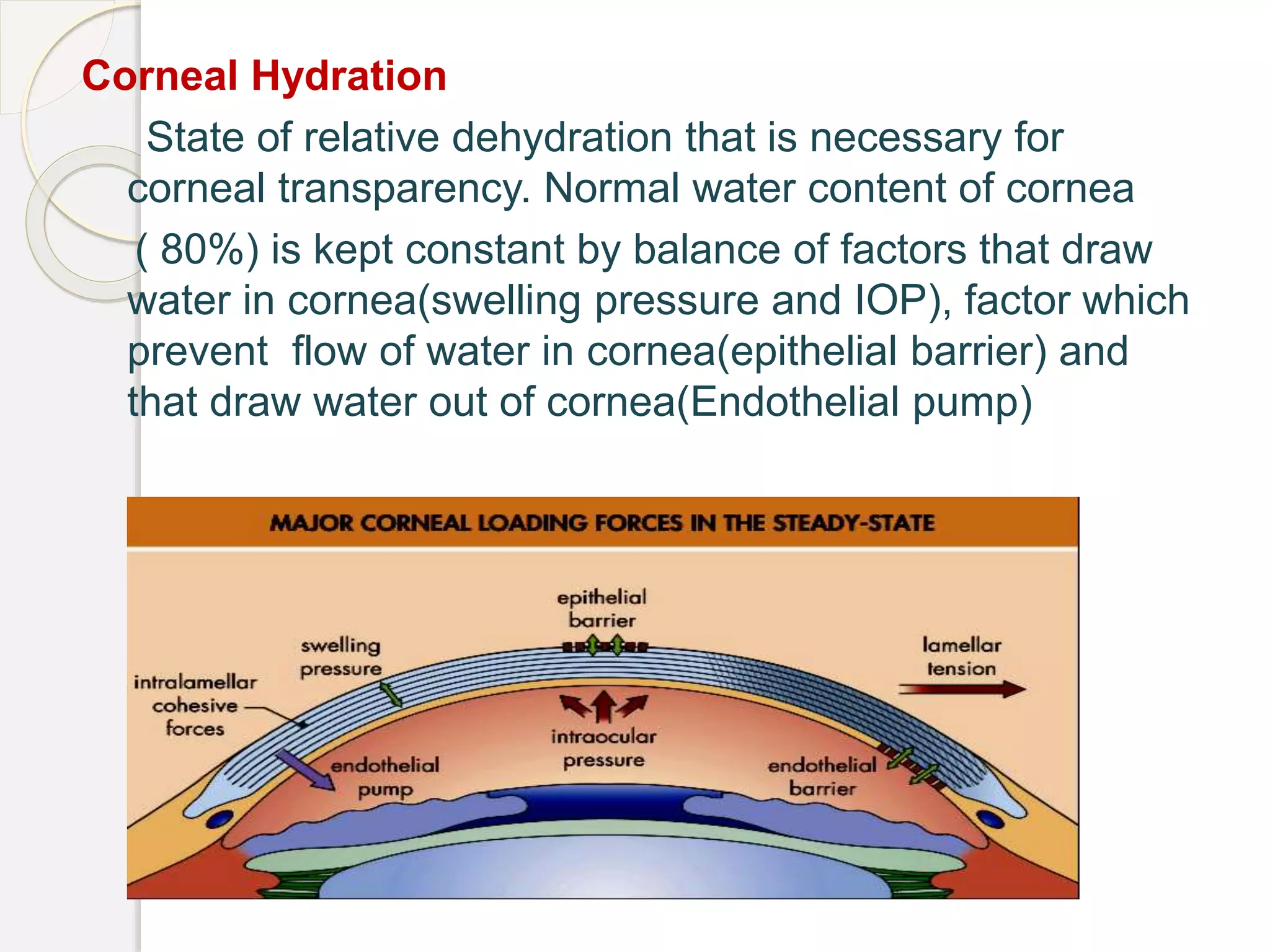 cornea physiology | PPTX