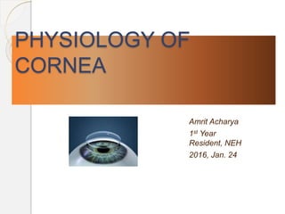PHYSIOLOGY OF
CORNEA
Amrit Acharya
1st Year
Resident, NEH
2016, Jan. 24
 