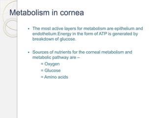 Metabolism in cornea
 The most active layers for metabolism are epithelium and
endothelium.Energy in the form of ATP is generated by
breakdown of glucose.
 Sources of nutrients for the corneal metabolism and
metabolic pathway are –
= Oxygen
= Glucose
= Amino acids
 