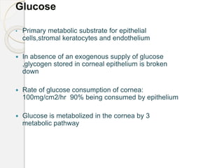 Glucose
• Primary metabolic substrate for epithelial
cells,stromal keratocytes and endothelium
 In absence of an exogenous supply of glucose
,glycogen stored in corneal epithelium is broken
down
 Rate of glucose consumption of cornea:
100mg/cm2/hr 90% being consumed by epithelium
 Glucose is metabolized in the cornea by 3
metabolic pathway
 