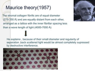 Maurice theory(1957)
The stromal collagen fibrills are of equal diameter
(275-350 Å) and are equally distant from each other,
arranged as a lattice with the inner fibrillar spacing less
than a wave length of light (4000-7000 Å)
He explains , because of their small diameter and regularity of
separation ,back scattered light would be almost completely supressed
by destructive interference.
 