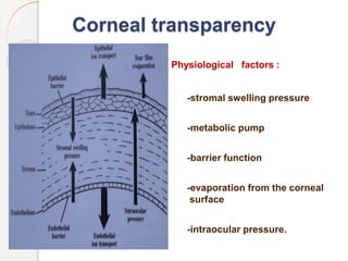 Corneal transparency
Physiological factors :
-stromal swelling pressure
-metabolic pump
-barrier function
-evaporation from the corneal
surface
-intraocular pressure.
 