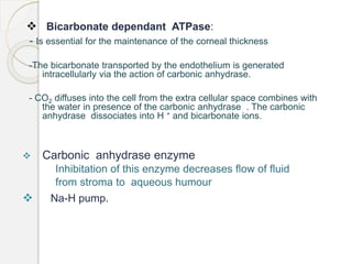  Bicarbonate dependant ATPase:
- Is essential for the maintenance of the corneal thickness
-The bicarbonate transported by the endothelium is generated
intracellularly via the action of carbonic anhydrase.
- CO2 diffuses into the cell from the extra cellular space combines with
the water in presence of the carbonic anhydrase . The carbonic
anhydrase dissociates into H + and bicarbonate ions.
 Carbonic anhydrase enzyme
Inhibitation of this enzyme decreases flow of fluid
from stroma to aqueous humour
 Na-H pump.
 