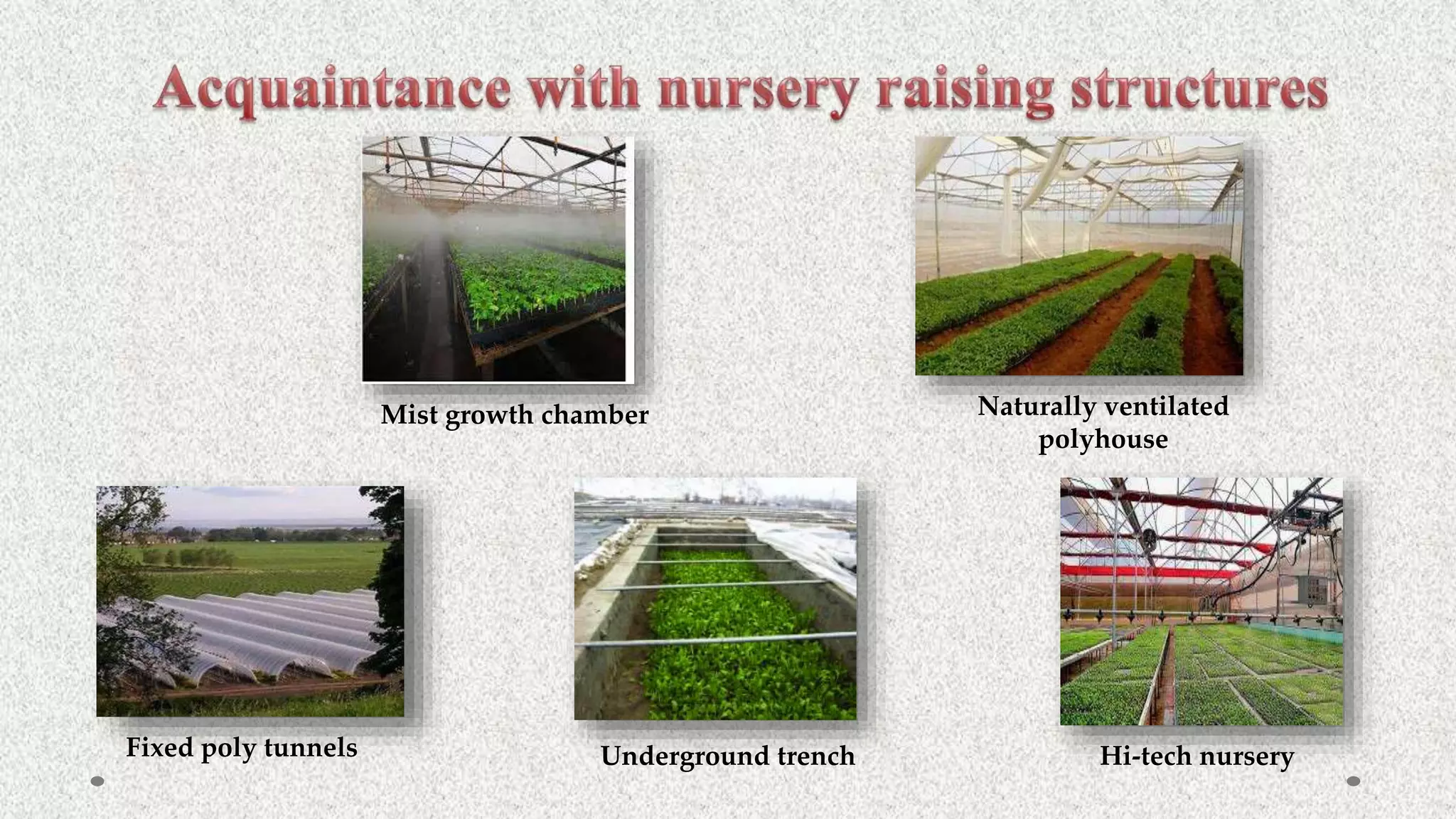 Mist growth chamber
Fixed poly tunnels Underground trench Hi-tech nursery
Naturally ventilated
polyhouse
 