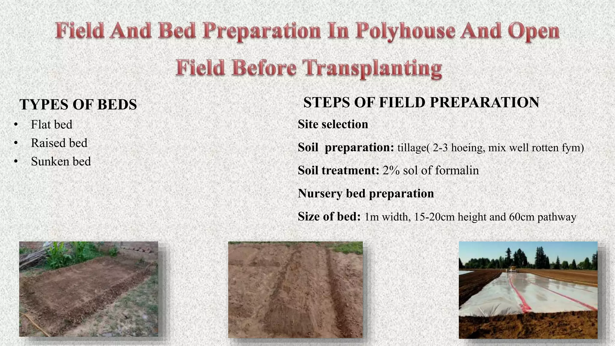 TYPES OF BEDS
• Flat bed
• Raised bed
• Sunken bed
STEPS OF FIELD PREPARATION
Site selection
Soil preparation: tillage( 2-3 hoeing, mix well rotten fym)
Soil treatment: 2% sol of formalin
Nursery bed preparation
Size of bed: 1m width, 15-20cm height and 60cm pathway
 