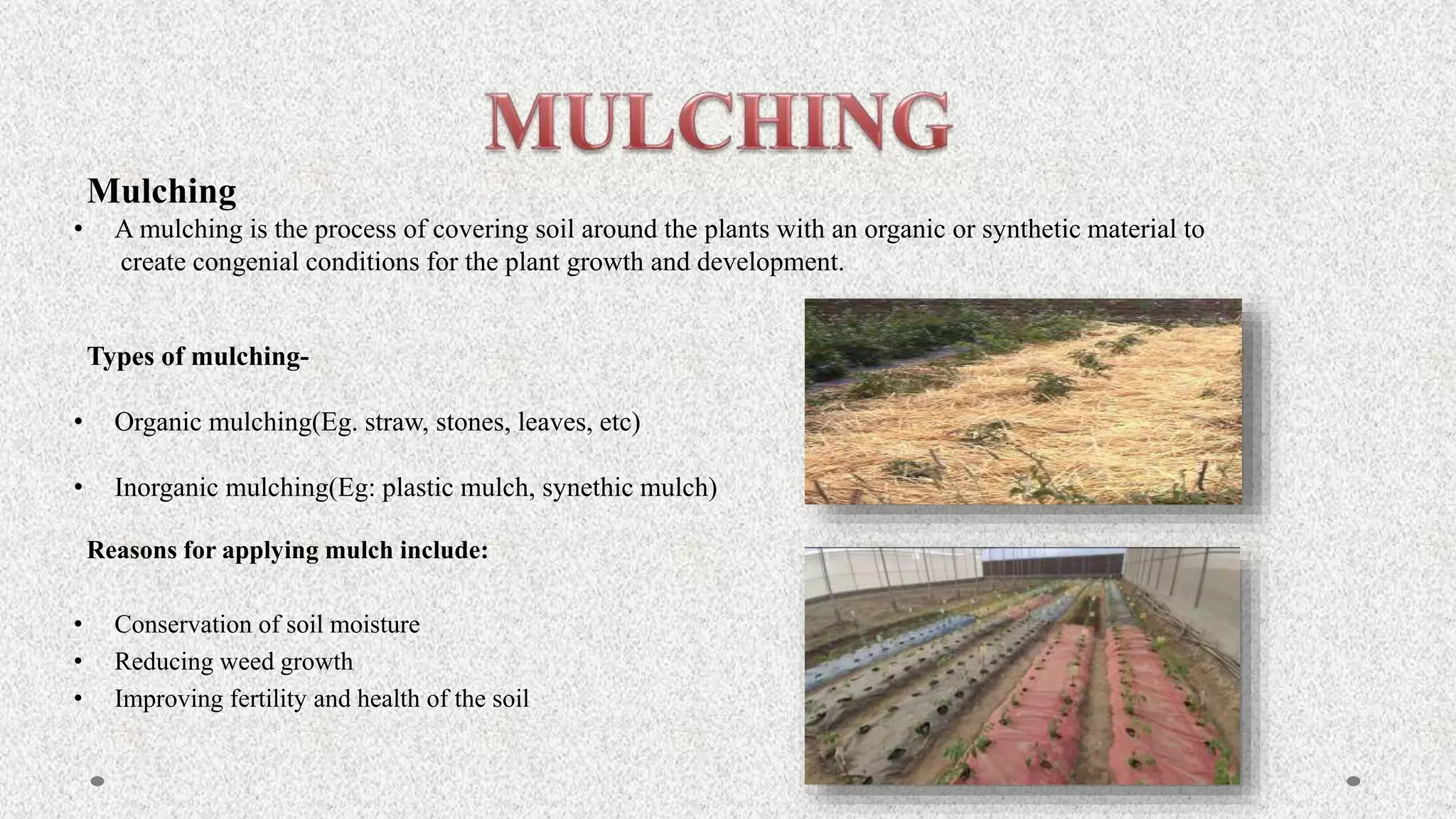 Mulching
• A mulching is the process of covering soil around the plants with an organic or synthetic material to
create congenial conditions for the plant growth and development.
Types of mulching-
• Organic mulching(Eg. straw, stones, leaves, etc)
• Inorganic mulching(Eg: plastic mulch, synethic mulch)
Reasons for applying mulch include:
• Conservation of soil moisture
• Reducing weed growth
• Improving fertility and health of the soil
 