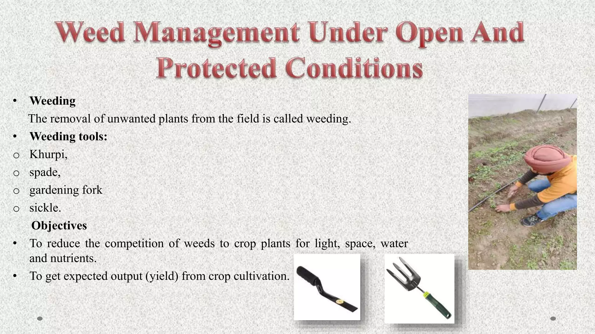 • Weeding
The removal of unwanted plants from the field is called weeding.
• Weeding tools:
o Khurpi,
o spade,
o gardening fork
o sickle.
Objectives
• To reduce the competition of weeds to crop plants for light, space, water
and nutrients.
• To get expected output (yield) from crop cultivation.
 