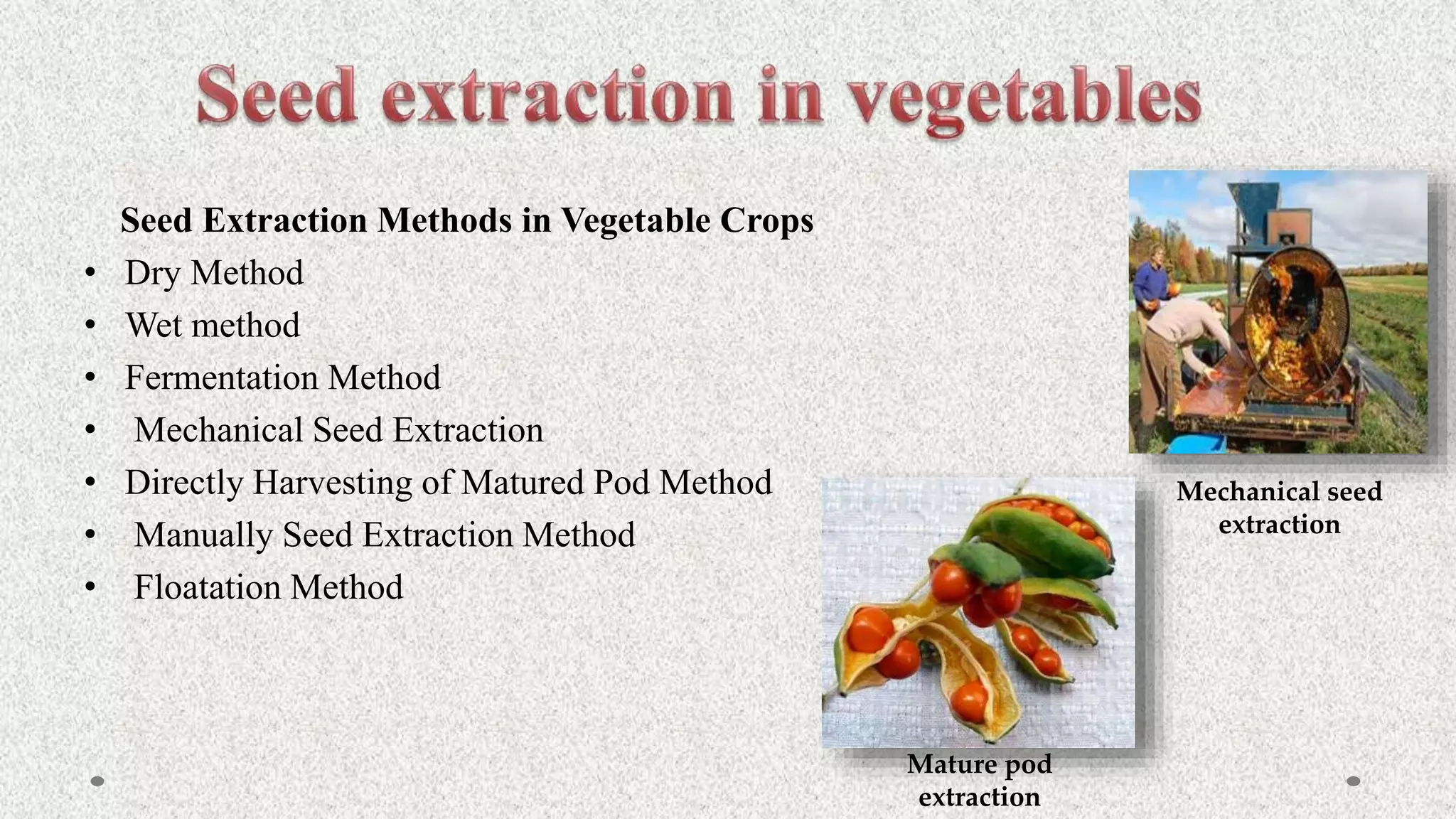 Seed Extraction Methods in Vegetable Crops
• Dry Method
• Wet method
• Fermentation Method
• Mechanical Seed Extraction
• Directly Harvesting of Matured Pod Method
• Manually Seed Extraction Method
• Floatation Method
Mechanical seed
extraction
Mature pod
extraction
 