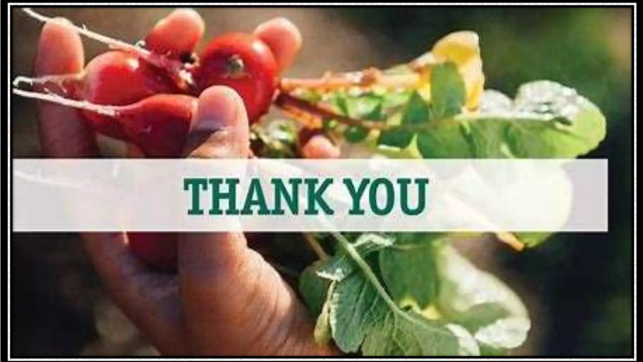 vegetable cultivation under open and protected environment