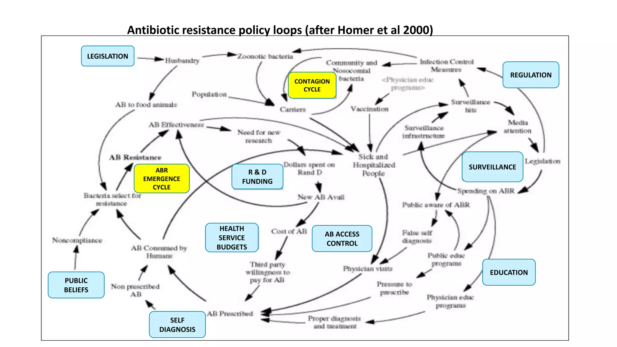 Antibiotic resistance policy loops (after Homer et al 2000)
EDUCATION
HEALTH
SERVICE
BUDGETS
LEGISLATION
REGULATION
CONTAGION
CYCLE
R & D
FUNDING
PUBLIC
BELIEFS
AB ACCESS
CONTROL
SURVEILLANCEABR
EMERGENCE
CYCLE
SELF
DIAGNOSIS
 