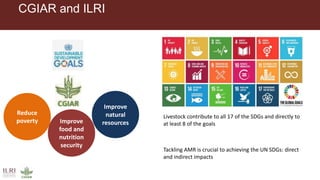 Knowledge, attitudes and practices among smallholder livestock farmers in Africa: Showing unmet research needs