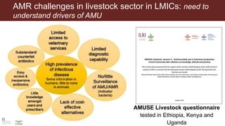 Knowledge, attitudes and practices among smallholder livestock farmers in Africa: Showing unmet research needs