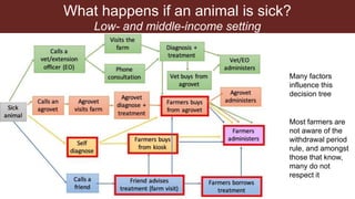 Knowledge, attitudes and practices among smallholder livestock farmers in Africa: Showing unmet research needs