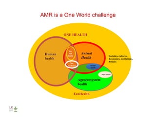 Investing in agriculture to reduce human health externalities: A low- and middle-income country perspective