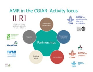 Investing in agriculture to reduce human health externalities: A low- and middle-income country perspective