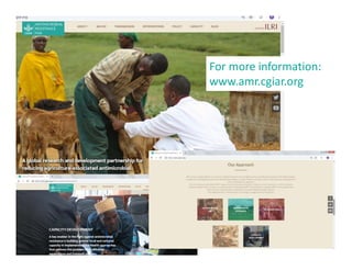 Investing in agriculture to reduce human health externalities: A low- and middle-income country perspective