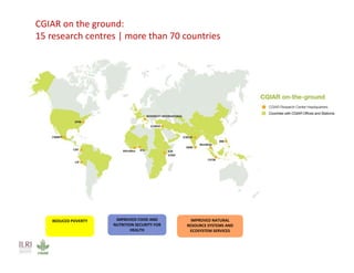 Investing in agriculture to reduce human health externalities: A low- and middle-income country perspective