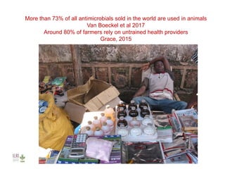 Investing in agriculture to reduce human health externalities: A low- and middle-income country perspective