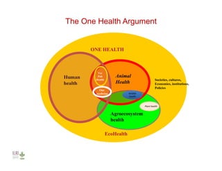 Investing in agriculture to reduce human health externalities: A low- and middle-income country perspective
