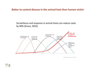 Investing in agriculture to reduce human health externalities: A low- and middle-income country perspective