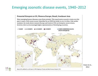 Investing in agriculture to reduce human health externalities: A low- and middle-income country perspective