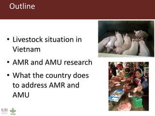 Assessing antimicrobial resistance and antibiotic use in agricultural food system: Experience from Vietnam