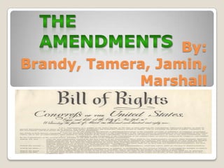 By: Brandy, Tamera, Jamin, Marshall The Amendments 