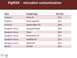 ILRI research on foodborne diseases and antimicrobial resistance associated with pigs