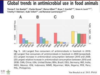 ILRI research on foodborne diseases and antimicrobial resistance associated with pigs