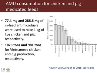 ILRI research on foodborne diseases and antimicrobial resistance associated with pigs