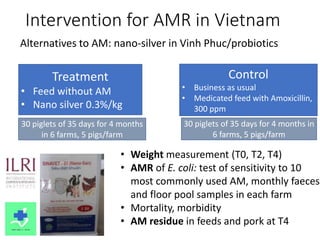 ILRI research on foodborne diseases and antimicrobial resistance associated with pigs