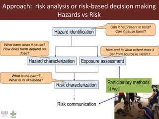 ILRI research on foodborne diseases and antimicrobial resistance associated with pigs
