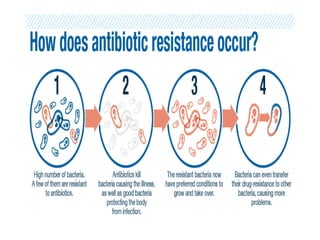 What is Antimicrobial Resistance?.pptx