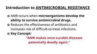 Comprehensive Overview of Antimicrobial Resistance and One Health ...