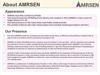 AMRSEN Company Capabilities