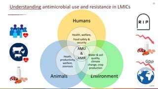 10
Understanding antimicrobial use and resistance in LMICs
Humans
Environment
Animals
Health, welfare,
Food safety &
security
Water & soil
quality,
climate
change, crop
production
Heath,
productivity,
welfare,
zoonosis
AMU
&
AMR
 
