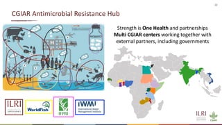 12
CGIAR Antimicrobial Resistance Hub
Strength is One Health and partnerships
Multi CGIAR centers working together with
external partners, including governments
 